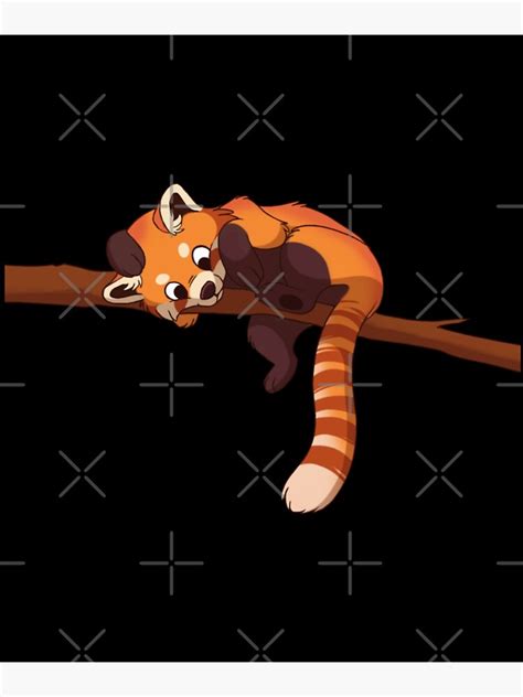 Cute Red Panda Cartoon Style Red Panda Bear Poster For Sale By