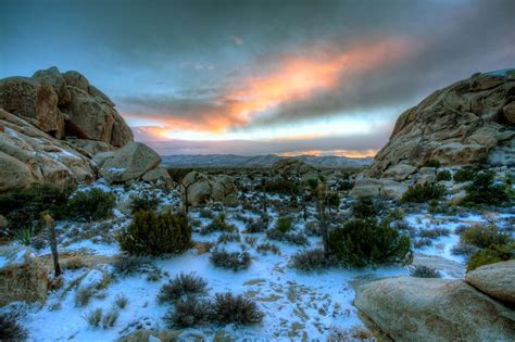 Snowy Joshua Tree National Park Joshua Tree National Park National