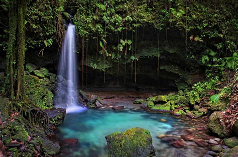 Emerald Pool Just Go Dominica