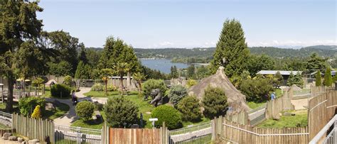 Browse 309 lake sammamish state park stock photos and images available, or start a new search to explore more stock photos and images. View of Lake Sammamish from the zoo in Issaquah ...