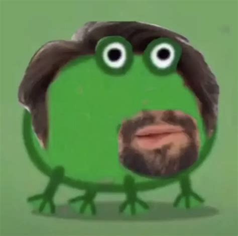 Lin The Frog Pt2 In 2020 Frog Meme Cute Frogs Frog Pictures
