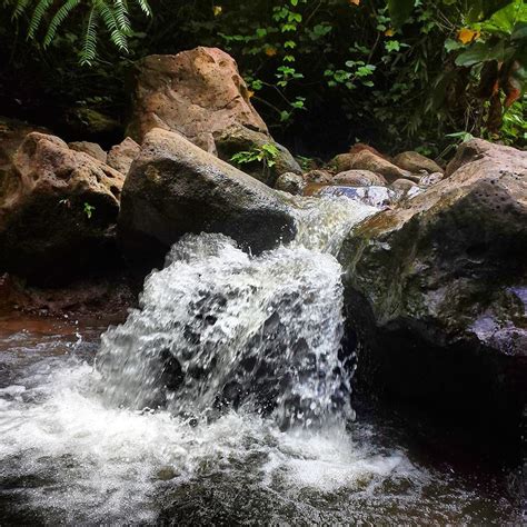 Gambar Alam Outdoor Batu Air Terjun Sungai Kecil Aliran Tenang