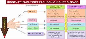 Kidney Patient Diet Chart In Urdu A Visual Reference Of Charts Chart