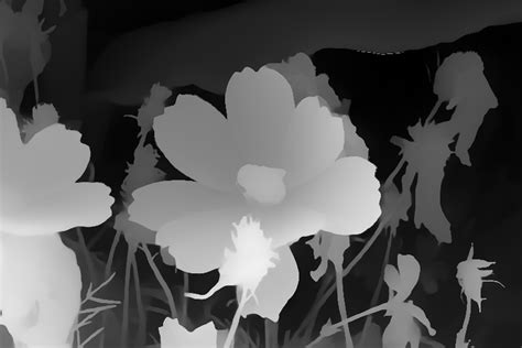 Monocular depth estimation