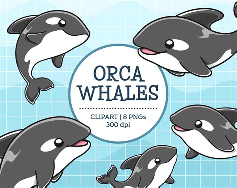 Premium Vector Clipart Kawaii Orcas Cute Orcas Clipart Set Image