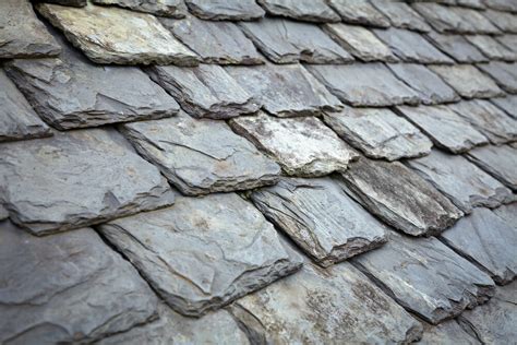 18 Types Of Roof Shingles Buying Guide 2019 Modernize
