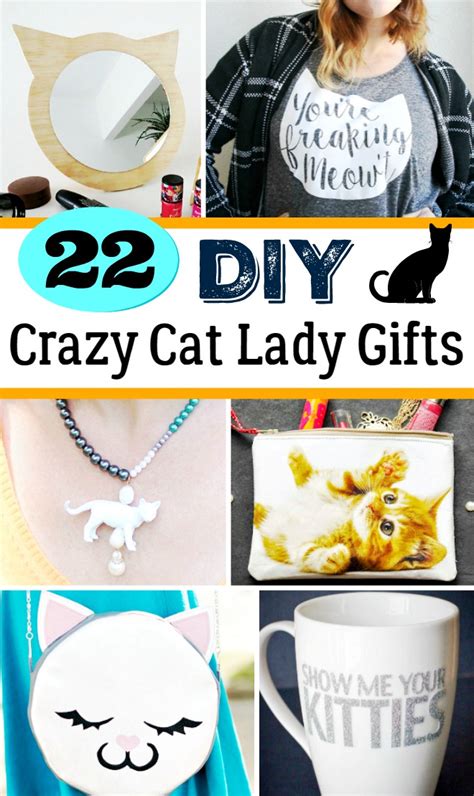 Diy Ts For Cat Lovers 22 Homemade Crazy Cat Lady Ts