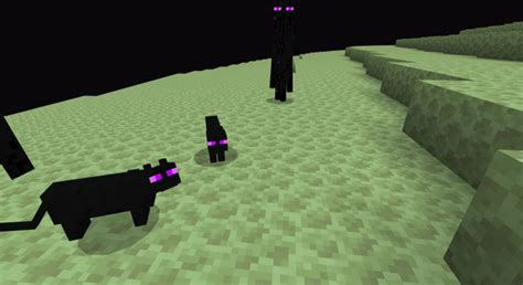 Cats+ Minecraft PE Addon/Mod 1.16