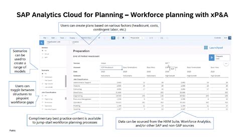 Five Reporting Options For Hcm Customers In Sap Successfactors