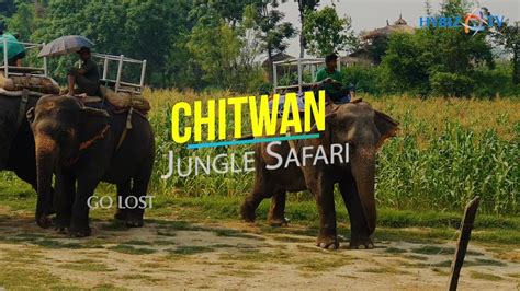 Chitwan Jungle Safari Nepal Wildlife Chitwan National Park Nepal