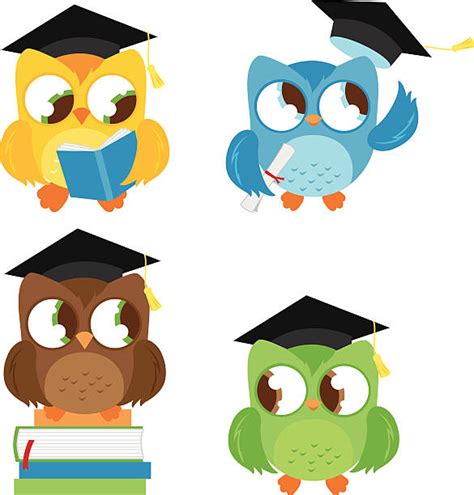 Wise Owl Graduation Cap Silhouettes Illustrations Royalty Free Vector