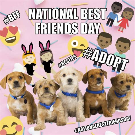Happy national best friends day! Social Paws Campaign Promotes Pet Adoption on # ...
