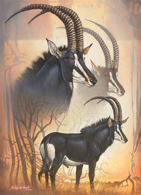 Sable Antelope The Authentic Dandd Wiki