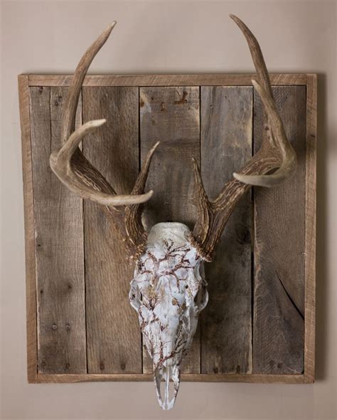 Hydrographic Dipped Skull On A Weathered Wood Wall Plaque Deer Skull