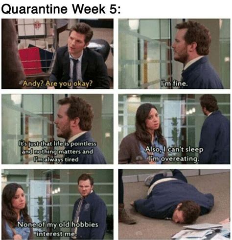 33 Parks And Recreation Memes That Imagine Quarantine In Pawnee