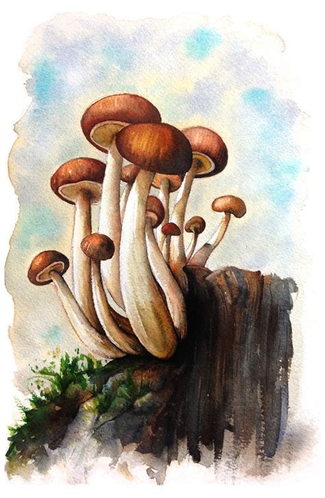 Mushrooms Watercolor Behance