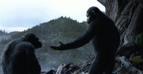 What Went On Behind The Scenes Of ‘dawn Of The Planet Of The Apes Peta