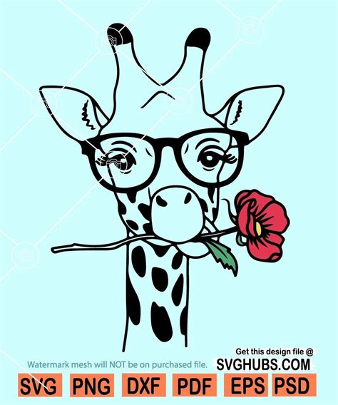Giraffe With Flower And Sunglasses Svg Svg Hubs