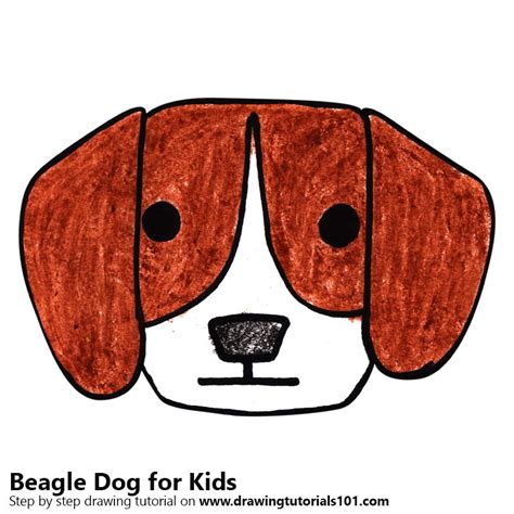 Learn How To Draw A Beagle Dog For Kids Animals For Kids Step By Step
