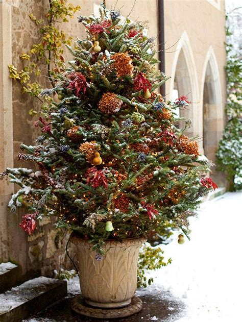 Outdoor Christmas Tree Frasier Fir With Embellishments From Nature