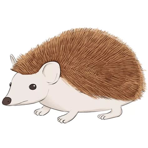 How To Draw A Hedgehog Easy Drawing Art