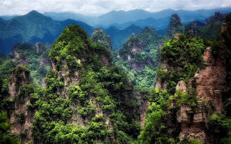 Download Cliff China Landscape Green Tree Mountain Nature Zhangjiajie