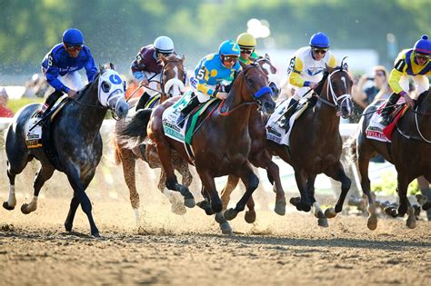 American Pharoah Wins Belmont Stakes And Triple Crown The New York Times