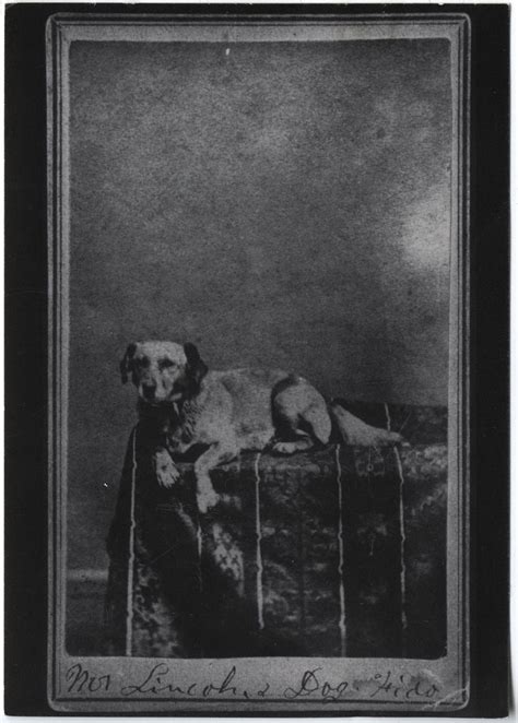 Abraham Lincolns Dog Fido The Lincoln Financial Foundation Collection