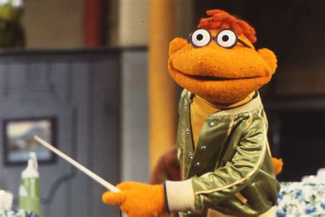 The Top 25 Muppet Characters Ranked Muppets The Muppets Characters