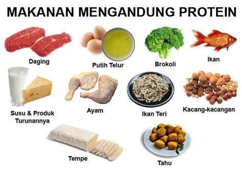 Maybe you would like to learn more about one of these? MAKANAN SEHAT UNTUK IBU HAMIL - Media Informasi