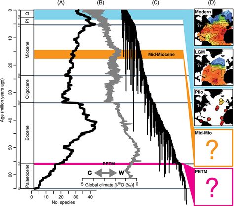 Planktonic Foraminiferal Diversity Throughout The Cenozoic A Changes