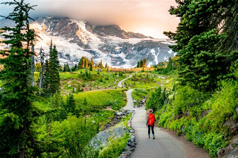 Locals Guide To The Skyline Trail Hike At Mt Rainier National Park