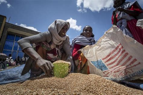 Once Starved By War Millions Of Ethiopians Go Hungry Again As Us Un Pause Aid After Massive