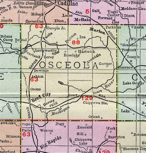 Osceola County Michigan 1911 Map Rand Mcnally Reed City Evart