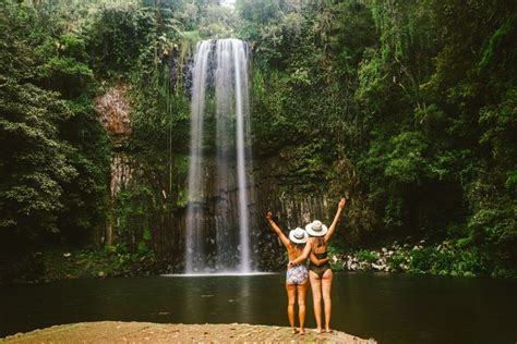 Waterfall Wanderers And Cape Tribulation 2 Day Adventure Cairns Tours