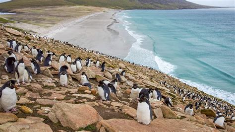Este es el territorio de ultramar de gran bretaña, cuyos derechos se disputan con argentina. LATAM lanzó nuevo vuelo a las Islas Malvinas desde San ...