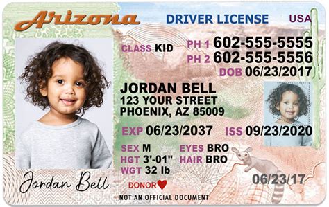 Arizona Kid Driver License For Children Under 12 Child Id Etsy