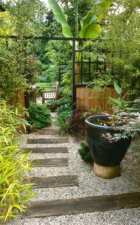 They are extremely durable plants that you can see as hedges and other barriers within a garden. In pictures: path inspiration for your garden in 2020 | Bamboo screen garden, Japanese garden ...