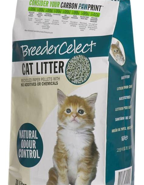 Recycled Paper Cat Litter Pet Care By Post