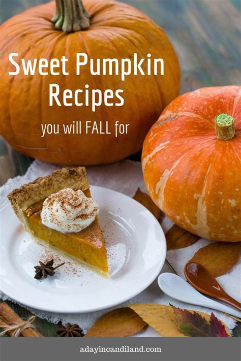 sweet pumpkin recipes you will fall for sweet pumpkin recipes pumpkin recipes dessert