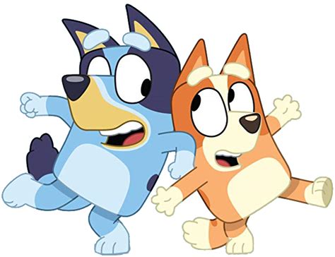 Bluey Heeler Bluey Wiki Fandom Heeler Bingo Cartoon