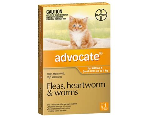 Advocate For Small Cats Up To 4kg 1 Pack Orange My Pet Warehouse