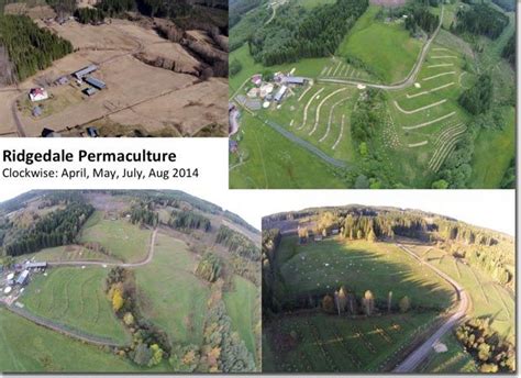 Ridgedale Permaculture1 1 Permaculture Farming Permaculture Design