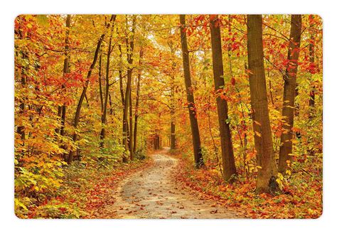 Ambesonne Fall Pet Mat For Food And Water Deciduous Trees With Seasonal