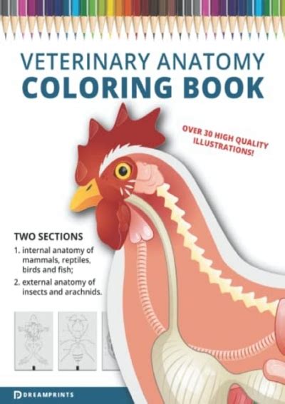 Read Pdf Veterinary Anatomy Coloring Book Animal Anatomy Coloring
