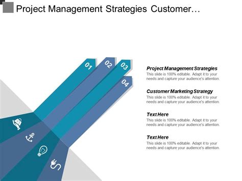 Project Management Strategies Customer Marketing Strategy Resource