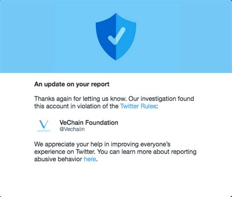Reporting Fake Accounts On Twitter Actually Works R Vechain
