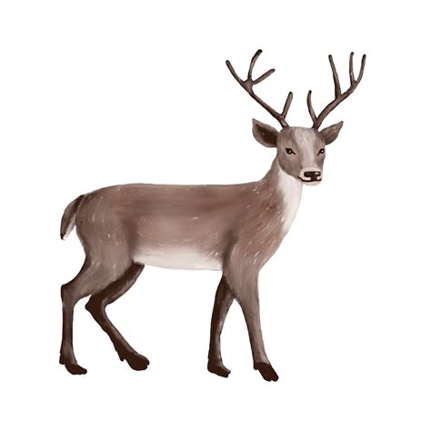 Deer Images Png