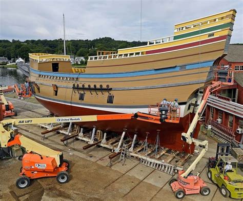 Crataegus monogyna (family rosaceae), a species of hawthorn, is commonly known as mayflower or may flower in england. Pin by Felicia Wichrowski on Cape Cod Thanksgiving ...