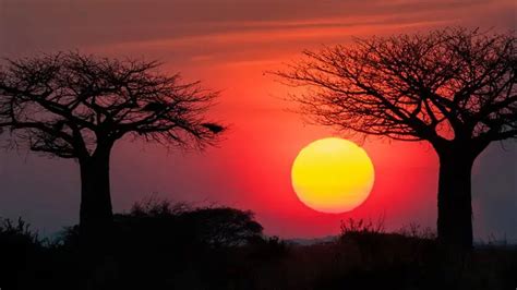 African Sunset In Tarangire National Park African Safaris Ltd